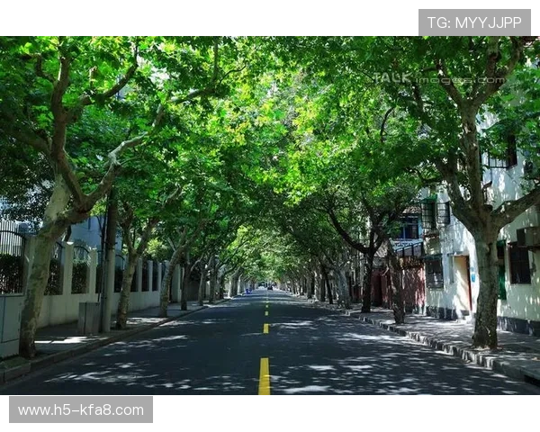 K8凯发网娱乐积极响应国家政策,推动绿色健康娱乐环境建设 K8凯发网娱乐积极响应国家政策,推动绿色健康娱乐环境建设